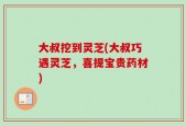 大叔挖到灵芝(大叔巧遇灵芝，喜提宝贵药材)