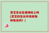 灵芝生长在香樟树上吗(灵芝的生长环境和物种有关吗？)