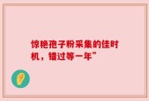 惊艳孢子粉采集的佳时机，错过等一年”