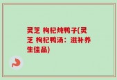 灵芝 枸杞炖鸭子(灵芝 枸杞鸭汤：滋补养生佳品)