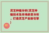 灵芝种植分析(灵芝种植技术及市场前景分析，打造灵芝产业新引擎)