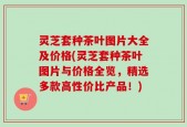 灵芝套种茶叶图片大全及价格(灵芝套种茶叶图片与价格全览，精选多款高性价比产品！)