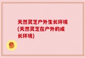 天然灵芝户外生长环境(天然灵芝在户外的成长环境)