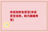 夯实仿野生灵芝(夯实灵芝功效，助力健康养生)