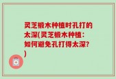 灵芝椴木种植时孔打的太深(灵芝椴木种植：如何避免孔打得太深？)