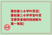 蓬街第二小学叶灵芝(蓬街第二小学学生叶灵芝荣获省级科技创新大赛一等奖)