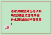 道水源破壁灵芝孢子的功效(破壁灵芝孢子提升水源功能的神奇效果)