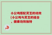 小公鸡搭配灵芝的功效(小公鸡与灵芝的组合，健康功效独特