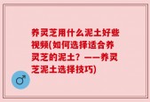 养灵芝用什么泥土好些视频(如何选择适合养灵芝的泥土？——养灵芝泥土选择技巧)