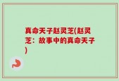 真命天子赵灵芝(赵灵芝：故事中的真命天子)