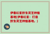 伊春红星野生灵芝种植基地(伊春红星：打造野生灵芝种植基地。)