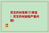 灵芝药材发霉了(霉变！灵芝药材面临严重问题)