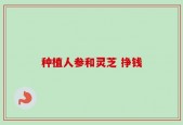 种植人参和灵芝 挣钱