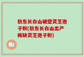 敖东长白山破壁灵芝孢子粉(敖东长白山出产稀缺灵芝孢子粉)