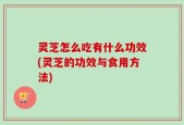 灵芝怎么吃有什么功效(灵芝的功效与食用方法)