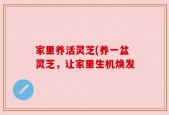 家里养活灵芝(养一盆灵芝，让家里生机焕发