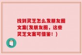 找到灵芝怎么发朋友圈文案(发朋友圈，这些灵芝文案可借鉴！)
