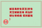解百毒野生灵芝(野生灵芝被解百毒 救治肝硬化等疾病 受到重视)