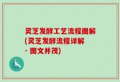 灵芝发酵工艺流程图解(灵芝发酵流程详解 - 图文并茂)