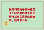 如何利用孢子粉种植灵芝？超市里的灵芝孢子粉可以用在灵芝这种植吗，我该怎么办