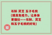 石斛 灵芝 五子毛桃(提高免疫力，让身体更强壮——石斛、灵芝和五子毛桃的好处)