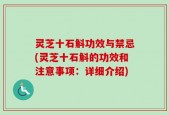灵芝十石斛功效与禁忌(灵芝十石斛的功效和注意事项：详细介绍)