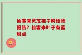 仙客来灵芝孢子粉检验报告？仙客来叶子有蓝斑点