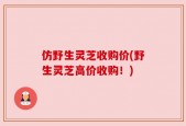 仿野生灵芝收购价(野生灵芝高价收购！)