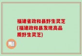 福建省政和县野生灵芝(福建政和县发现高品质野生灵芝)