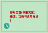 卵形灵芝(卵形灵芝：来源、功效与食用方法)