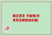霸王灵芝 不值钱(珍贵灵芝被低估价值)