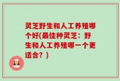 灵芝野生和人工养殖哪个好(最佳种灵芝：野生和人工养殖哪一个更适合？)