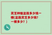 灵芝种植盆栽多少钱一棵(盆栽灵芝多少钱？一棵多少？)