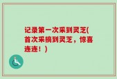 记录第一次采到灵芝(首次采摘到灵芝，惊喜连连！)