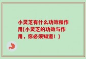 小灵芝有什么功效和作用(小灵芝的功效与作用，你必须知道！)