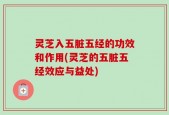 灵芝入五脏五经的功效和作用(灵芝的五脏五经效应与益处)