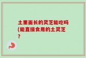 土里面长的灵芝能吃吗(能直接食用的土灵芝？
