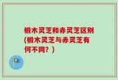 椴木灵芝和赤灵芝区别(椴木灵芝与赤灵芝有何不同？)