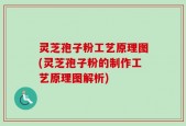 灵芝孢子粉工艺原理图(灵芝孢子粉的制作工艺原理图解析)