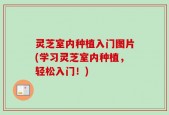 灵芝室内种植入门图片(学习灵芝室内种植，轻松入门！)