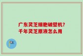 广东灵芝细胞破壁机？千年灵芝原液怎么用