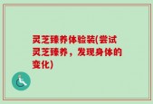 灵芝臻养体验装(尝试灵芝臻养，发现身体的变化)