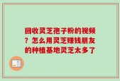 回收灵芝孢子粉的视频？怎么用灵芝赚钱朋友的种植基地灵芝太多了