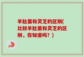 羊肚菌和灵芝的区别(比较羊肚菌和灵芝的区别，你知道吗？)