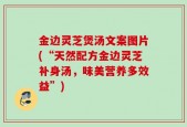 金边灵芝煲汤文案图片(“天然配方金边灵芝补身汤，味美营养多效益”)