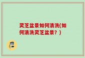 灵芝盆景如何清洗(如何清洗灵芝盆景？)