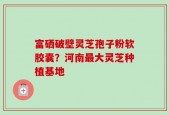 富硒破壁灵芝孢子粉软胶囊？河南最大灵芝种植基地