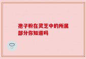 孢子粉在灵芝中的所属部分你知道吗