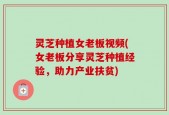 灵芝种植女老板视频(女老板分享灵芝种植经验，助力产业扶贫)