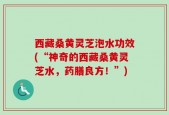 西藏桑黄灵芝泡水功效(“神奇的西藏桑黄灵芝水，药膳良方！”)